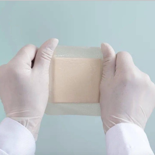 Gegen welche Arten von Bakterien ist die antibakterielle medizinische TPU-Folie resistent?